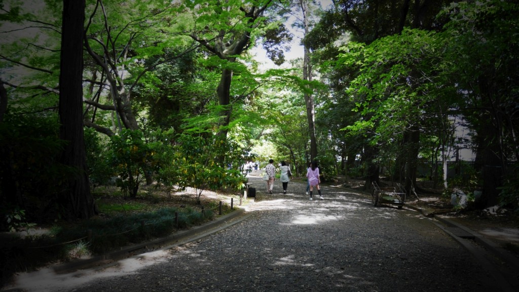 旧古河庭園はバラだけではありませんよ。広大な日本庭園もぜひ散策してください。